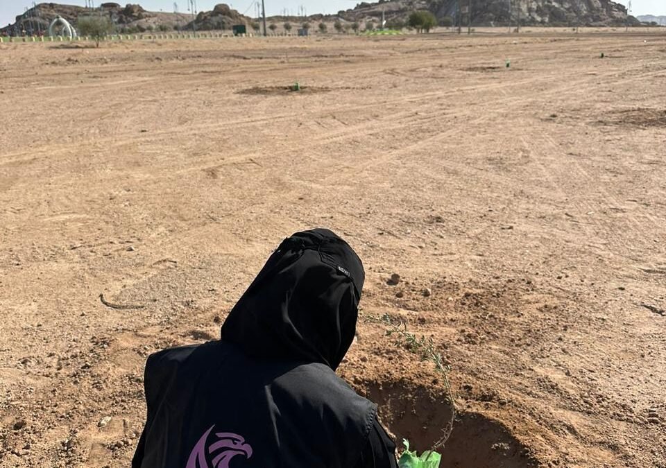 الخبر الجديد